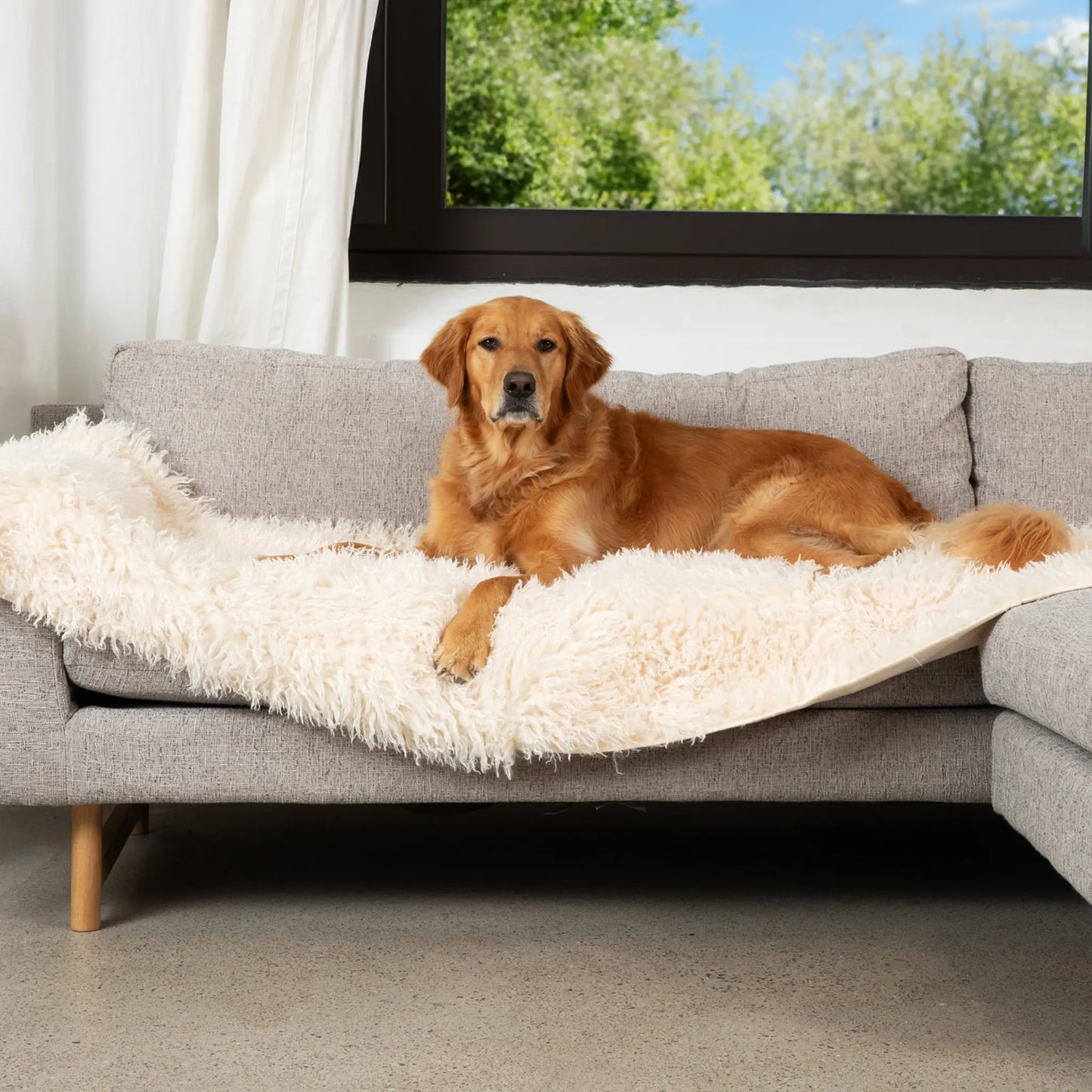 PupProtector™ Luxe Waterproof Bed Runner - Plush Sheep Ivory Paw.com