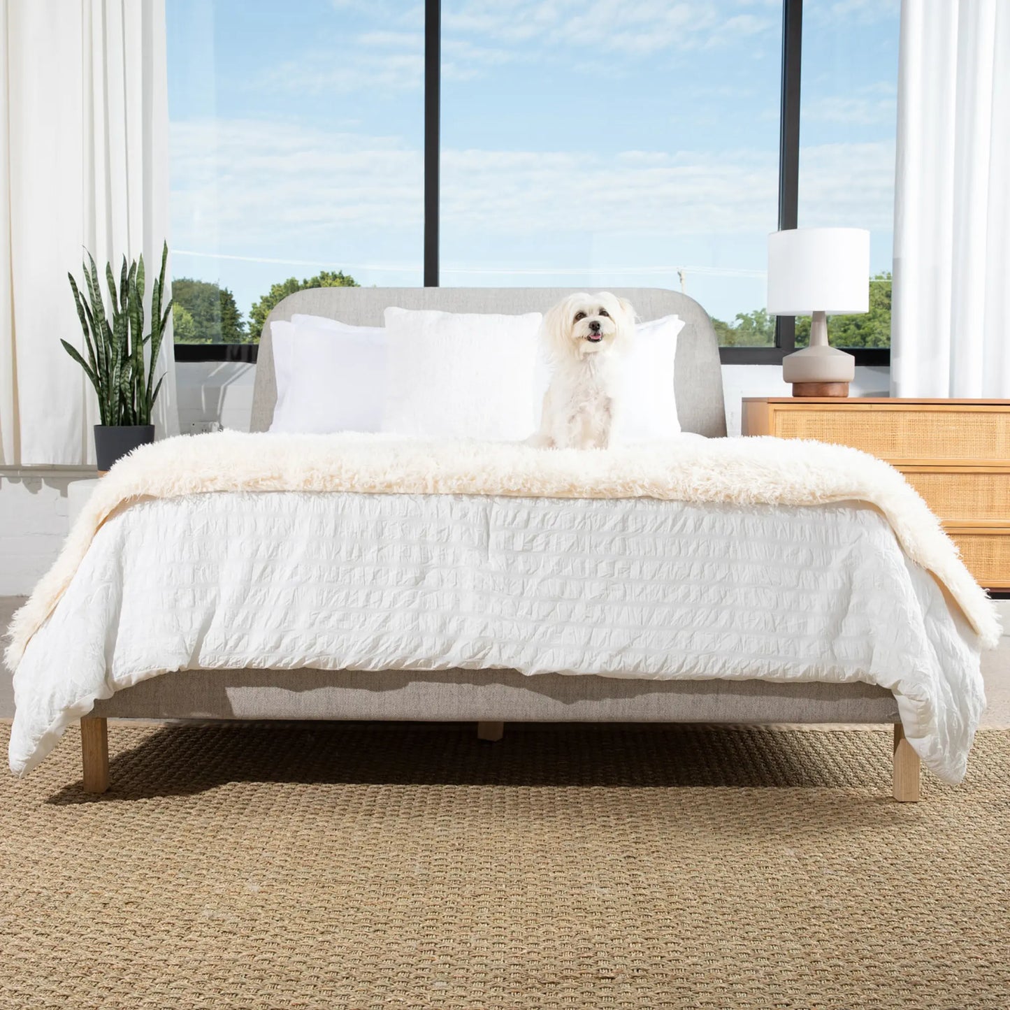 PupProtector™ Luxe Waterproof Bed Runner - Plush Sheep Ivory Paw.com