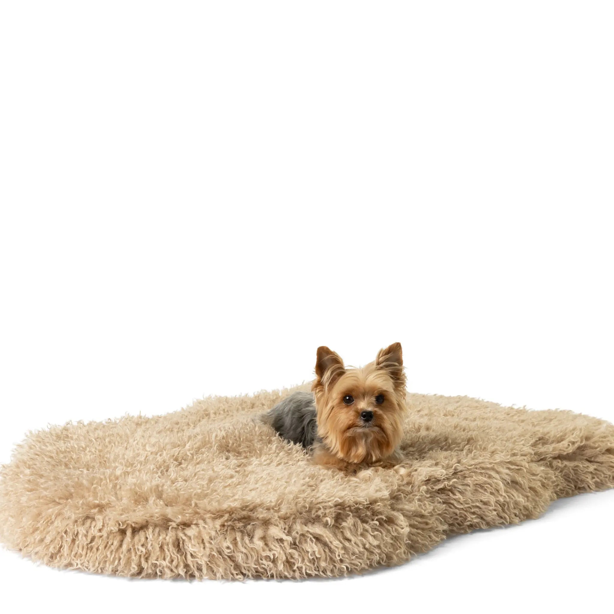 PupRug™ Luxe Faux Fur Orthopedic Dog Bed - Plush Sheep Tan Paw.com