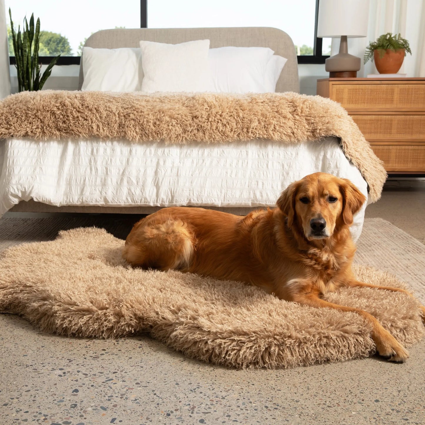 PupRug™ Luxe Faux Fur Orthopedic Dog Bed - Plush Sheep Tan Paw.com