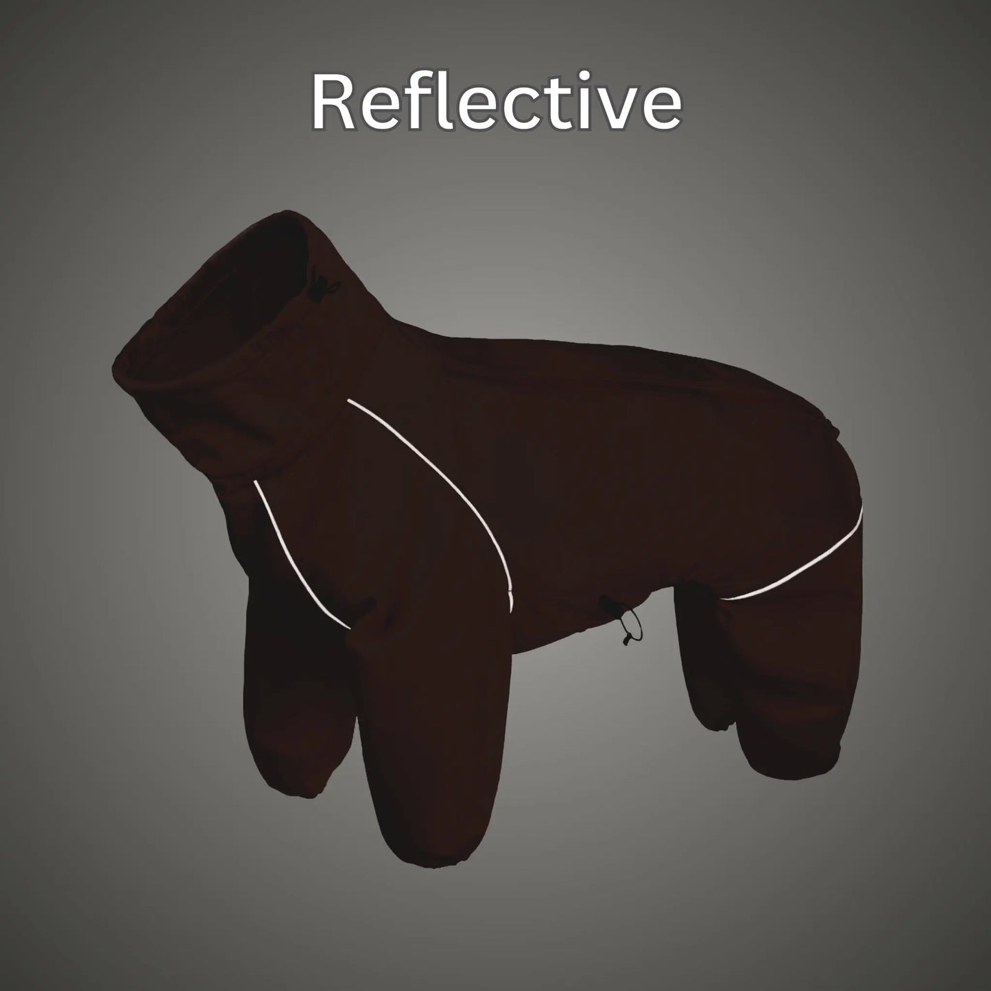 Snow Warrior Suit WOOFESSENTIAL