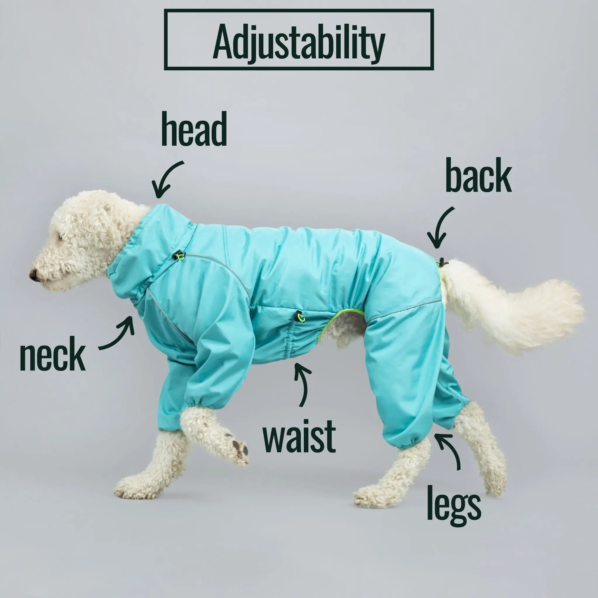 Snow Warrior Suit