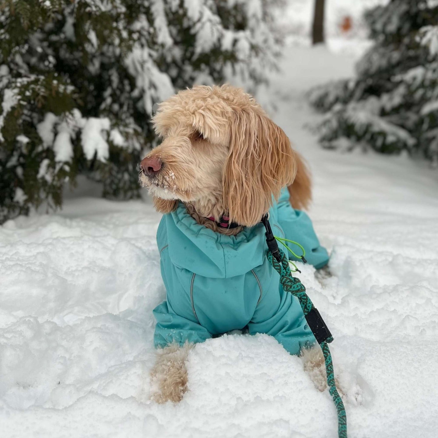 Snow Warrior Suit WOOFESSENTIAL