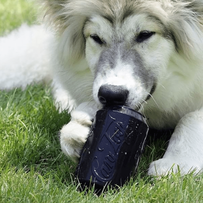 Magnum Can Toy Rubber Dog Chew Toy for Extreme Chewers | Treat Dispenser | USA Made