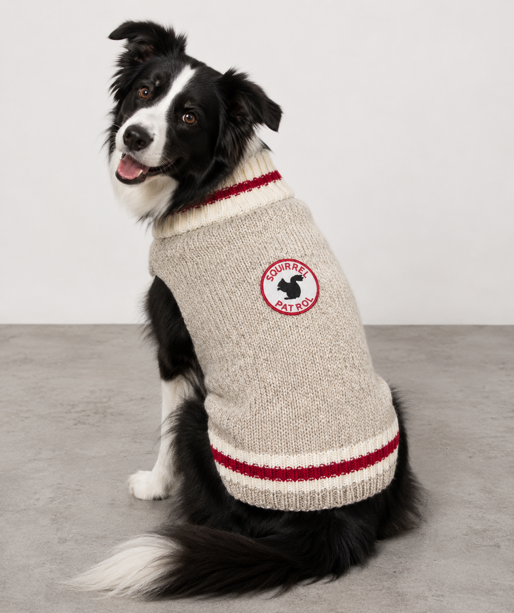 Squirrel Patrol Dog Sweater