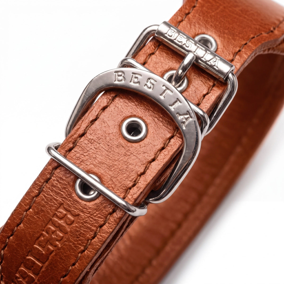 Bestia Stylish 2" Leather Dog Collar