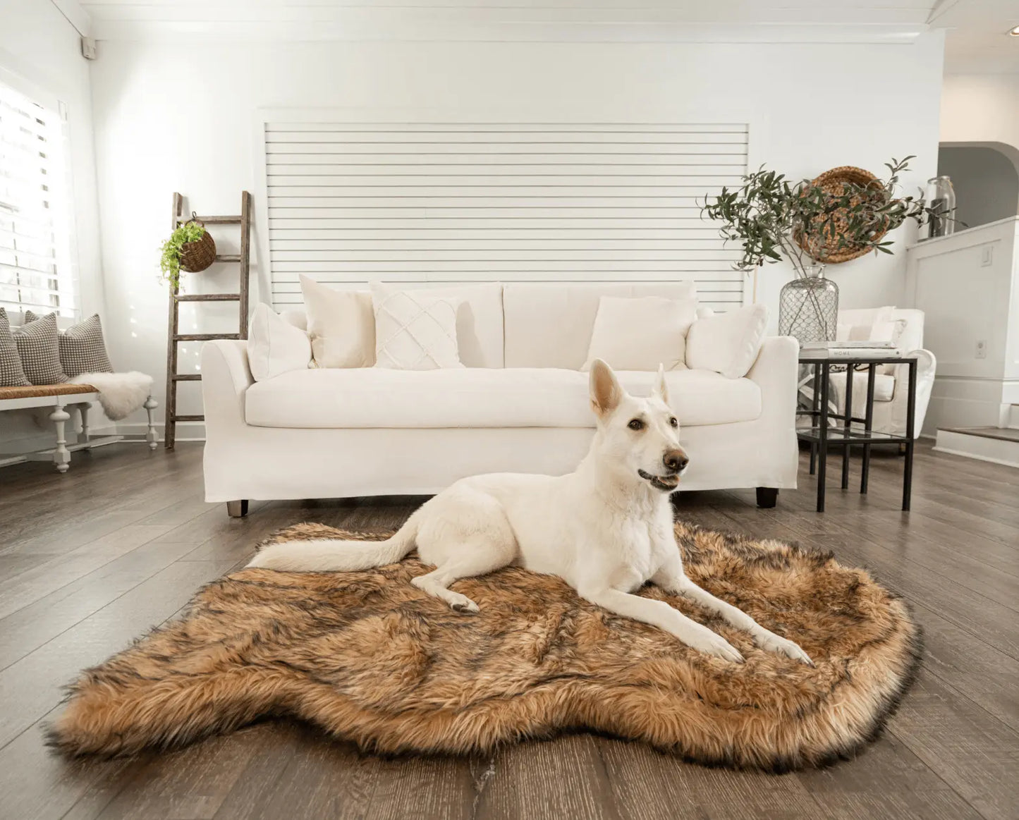 PupRug by Paw.com™ Faux Fur Orthopedic Dog Bed - Curve Sable Tan Paw.com