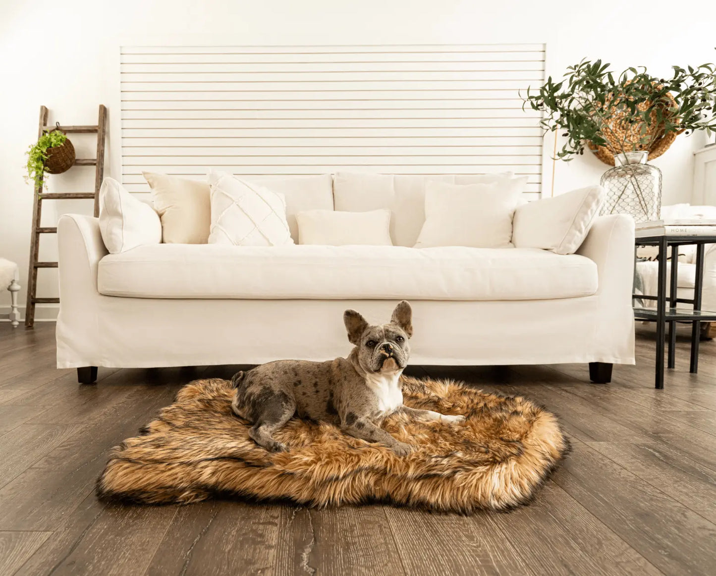 PupRug by Paw.com™ Faux Fur Orthopedic Dog Bed - Curve Sable Tan Paw.com