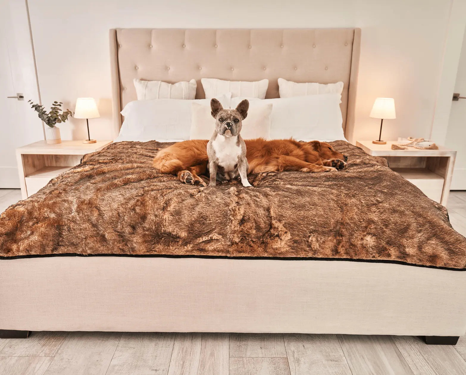 PupProtector™ Summer Short Fur Waterproof Throw Blanket - Sable Tan Paw.com