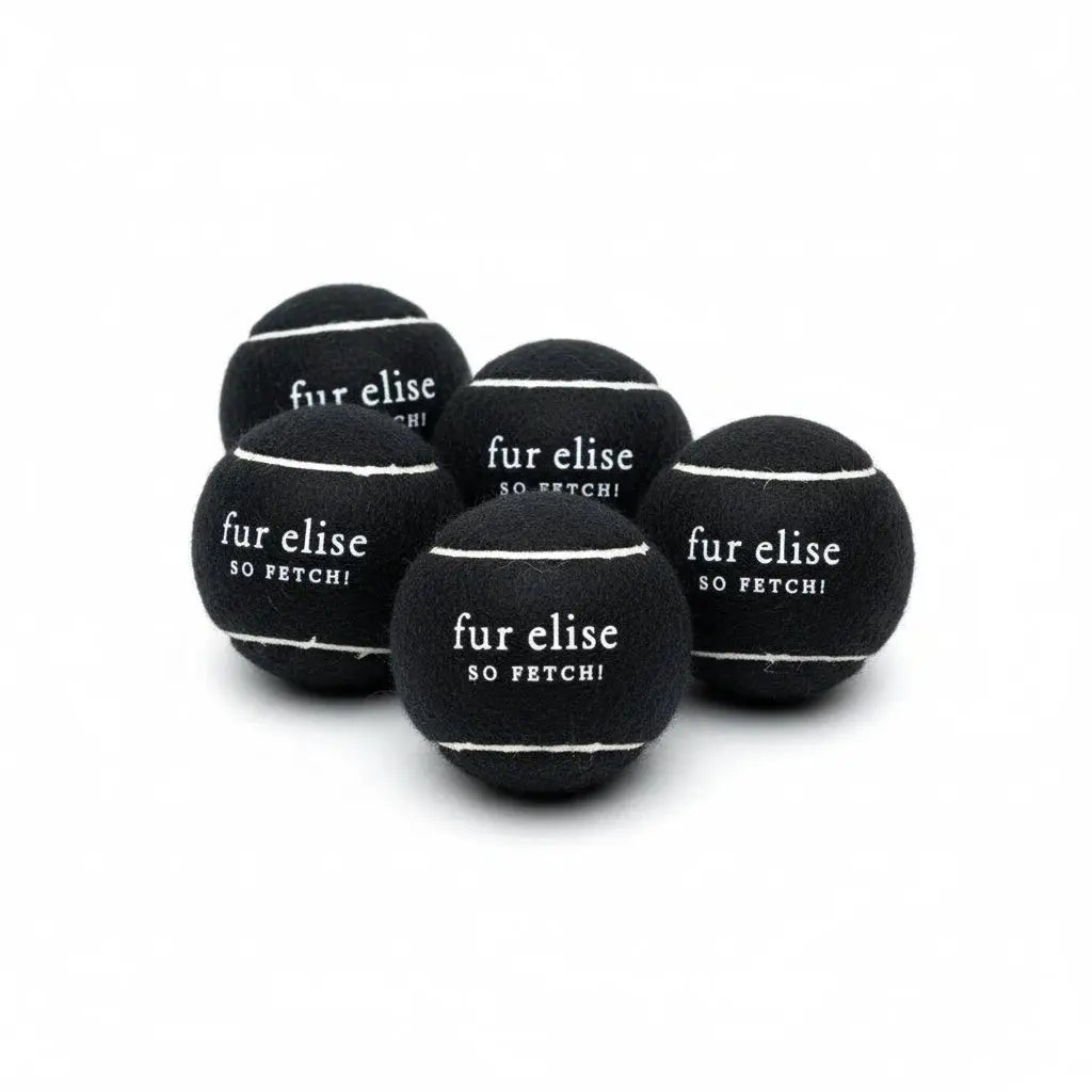So Fetch! Tennis Ball Pack of 5 - Noire - K9 Outdoors