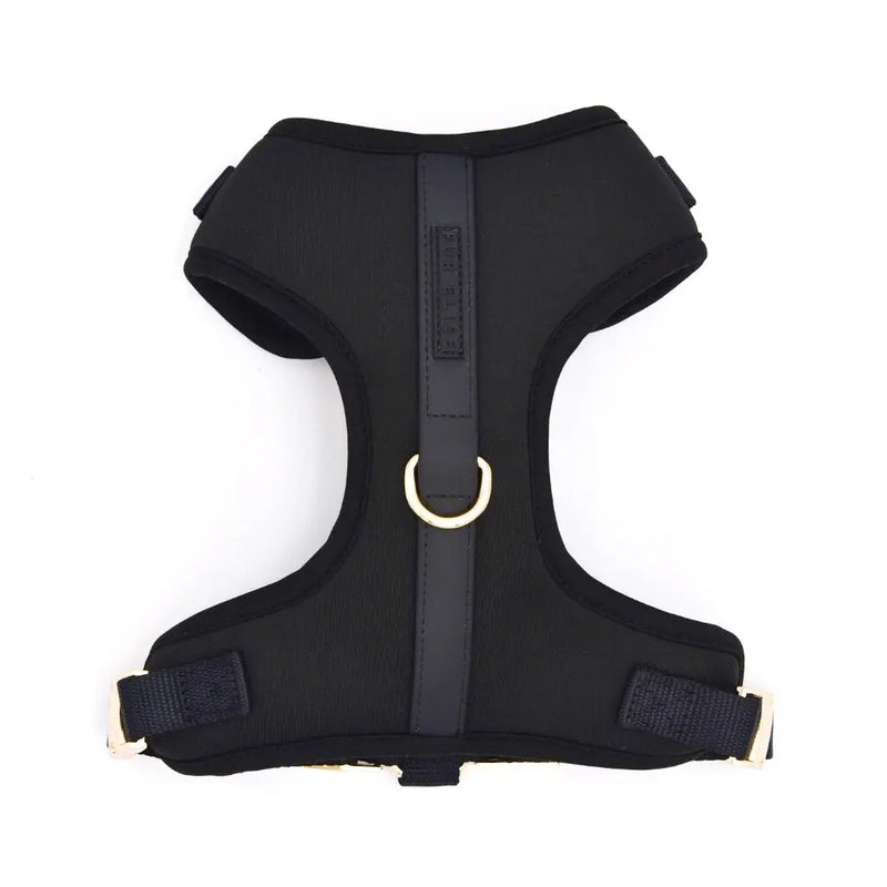 The Ultimate Walk Set - Noir