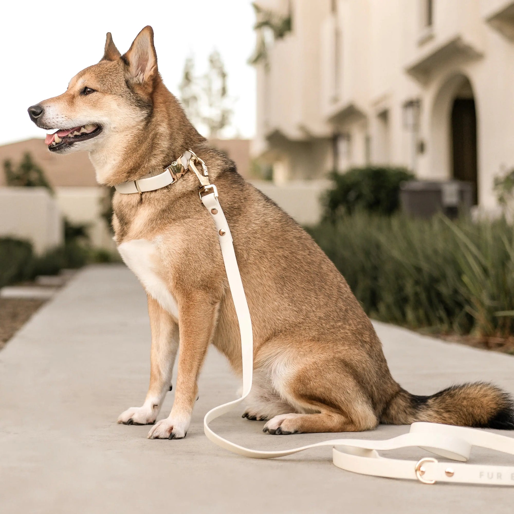 Fur Elise The Essentials Walk Set - Bone
