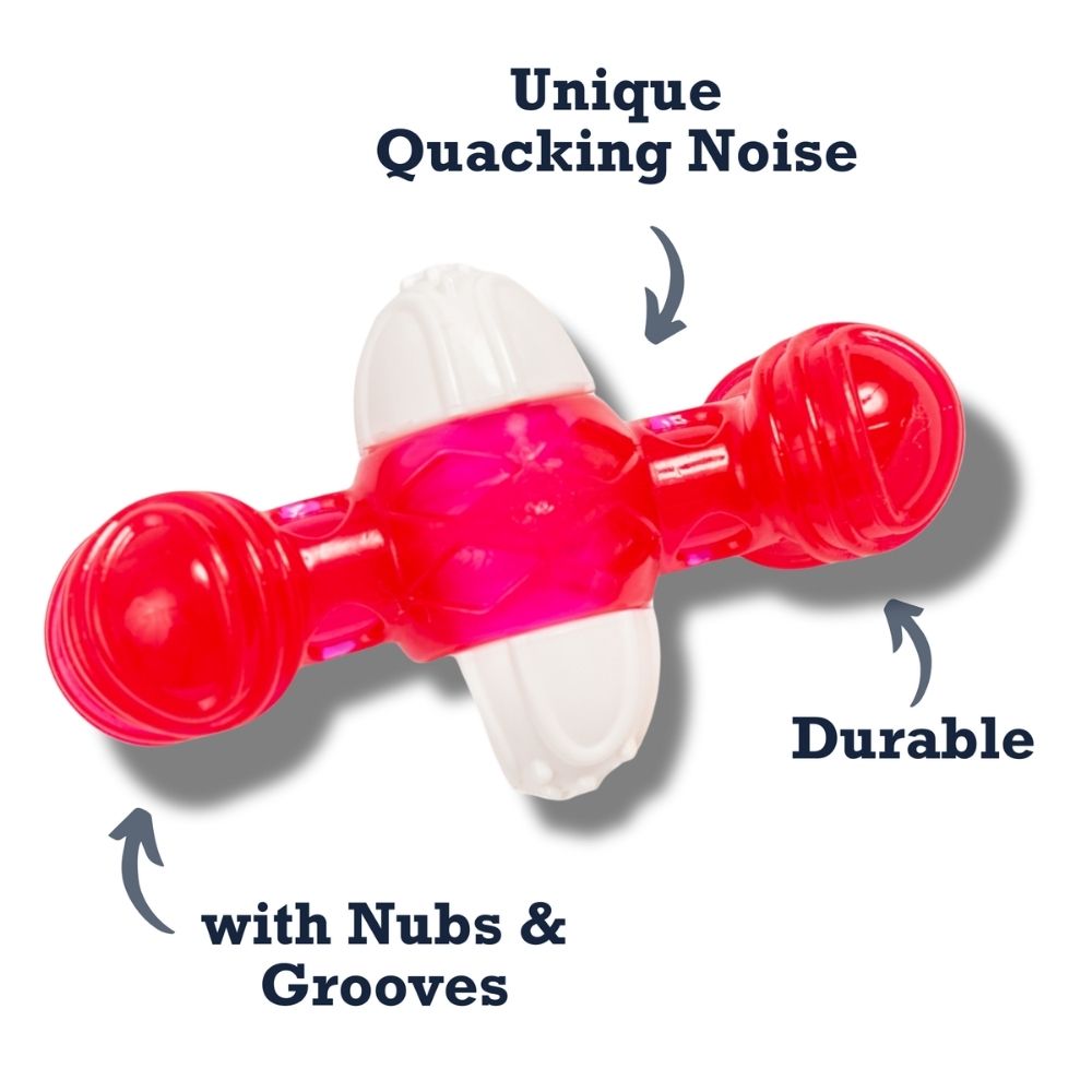 Country Living TPR & Nylon Quacker Bone Chew Toy for Dogs