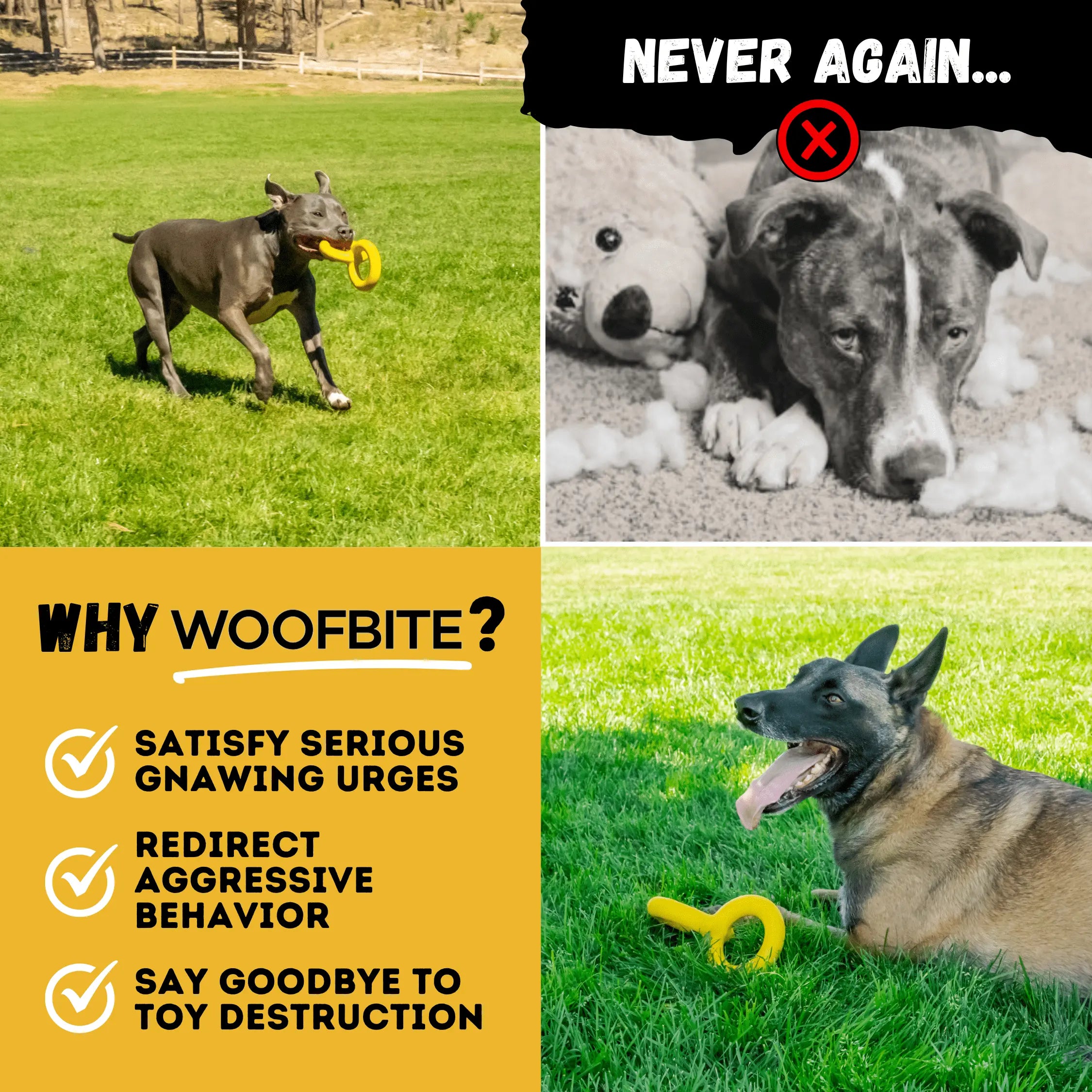 Tug Rings Monster K9 Dog Toys