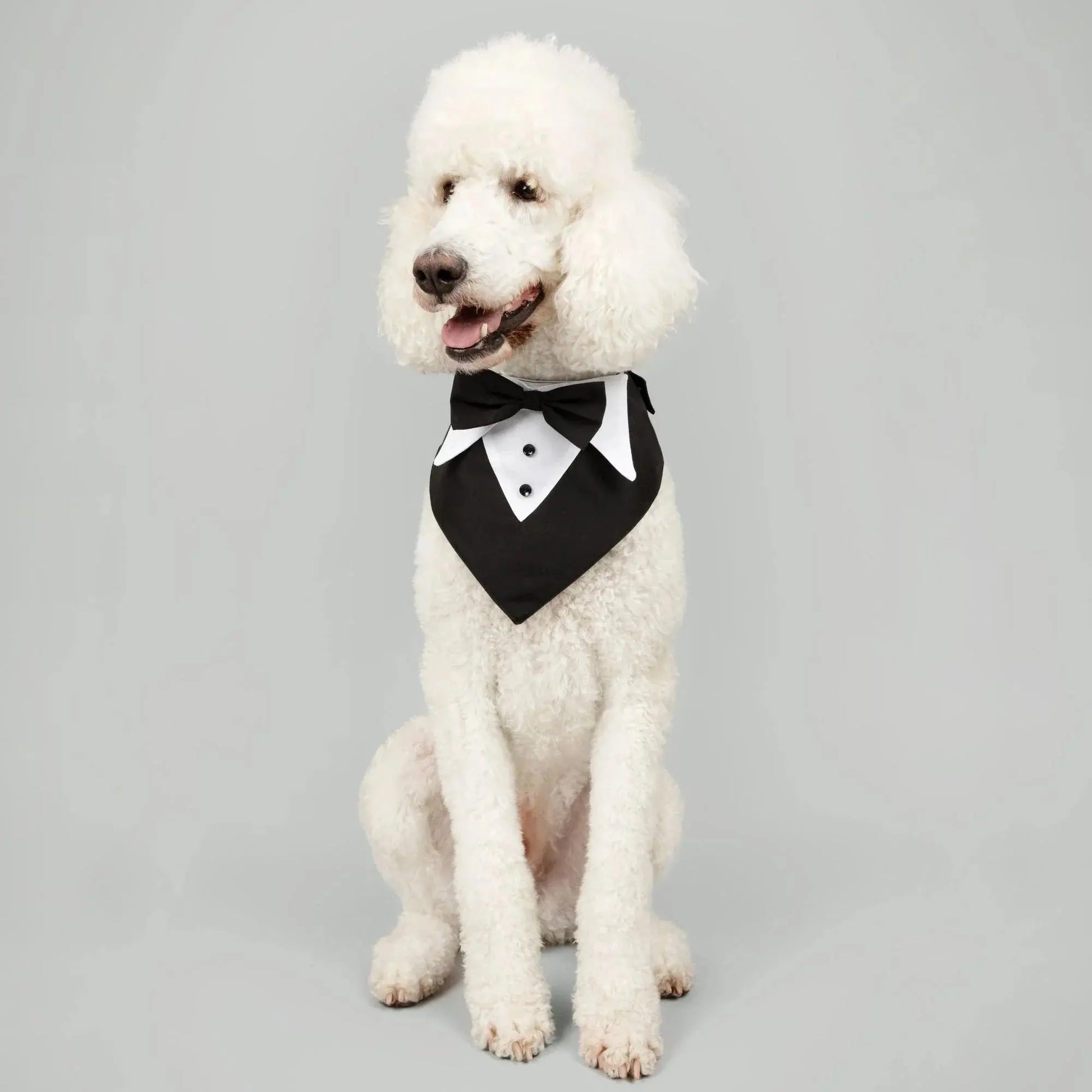 Tuxedo Bandana WOOFESSENTIAL