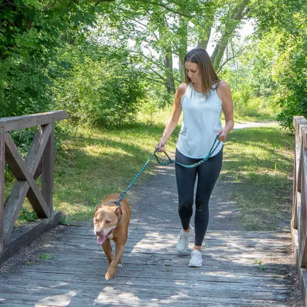 Forever Leash Carmella & Rose