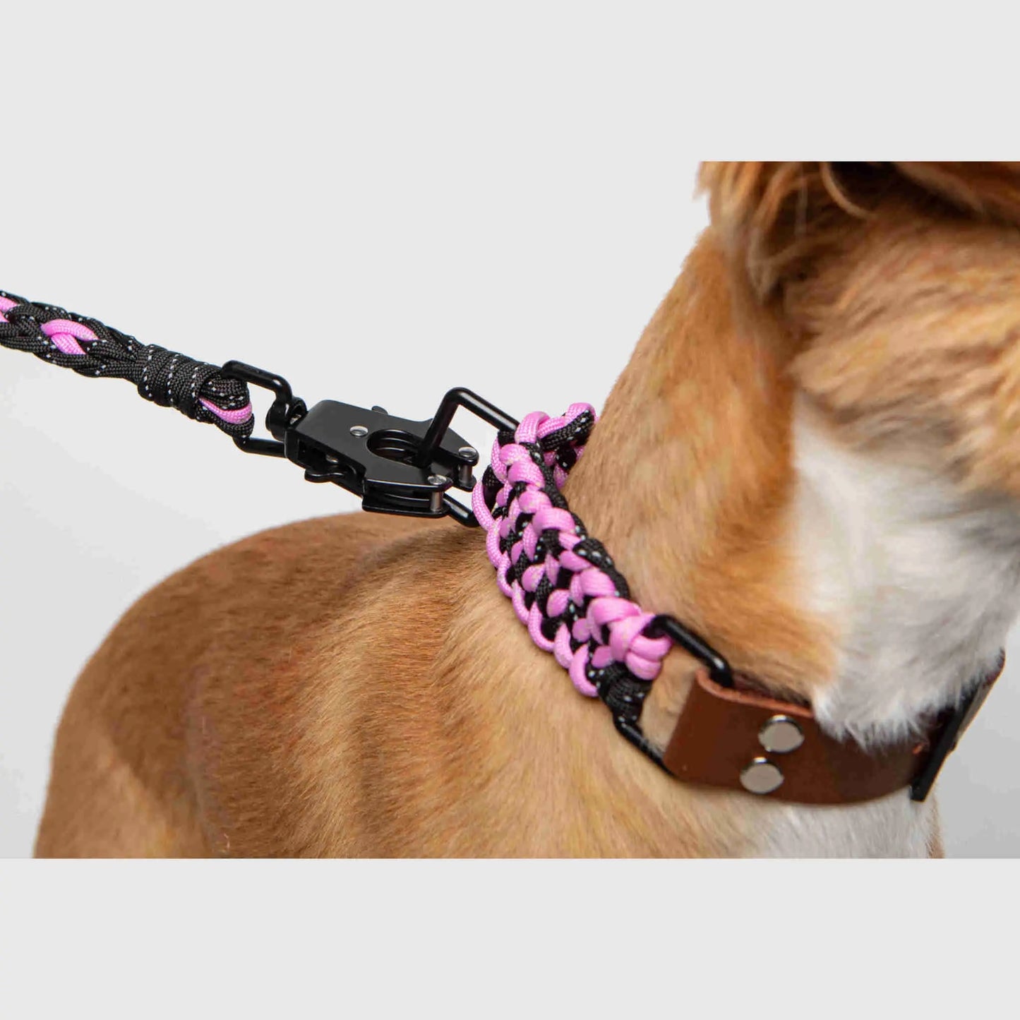 Forever Collar Carmella & Rose