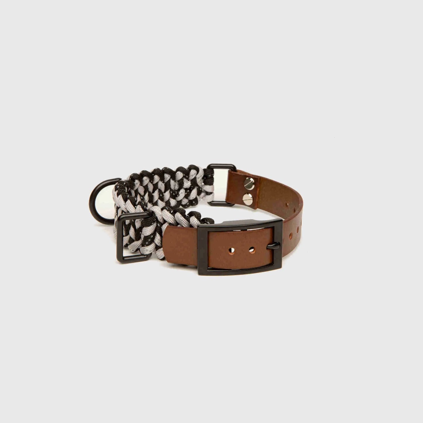 Forever Collar Carmella & Rose