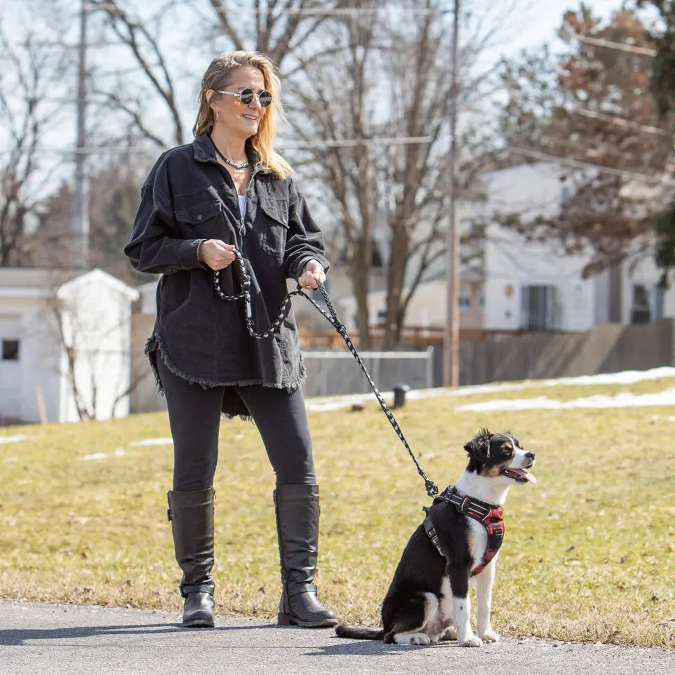 Forever Leash Carmella & Rose