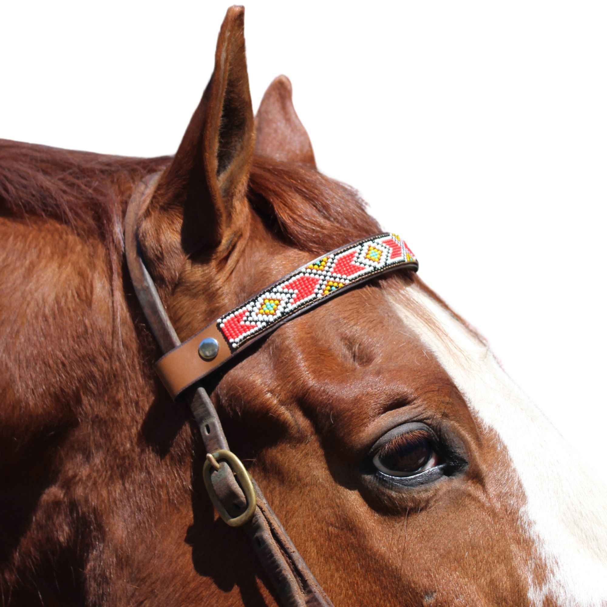 Valencia Sambboho Horse Browband
