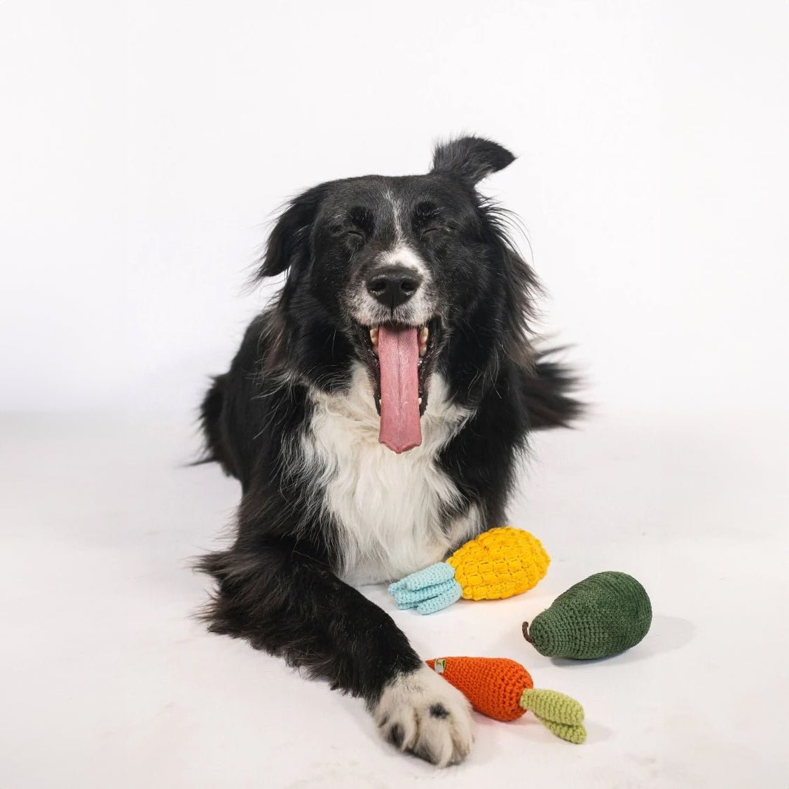 Organic Veggie Toys Bundle Nina Woof