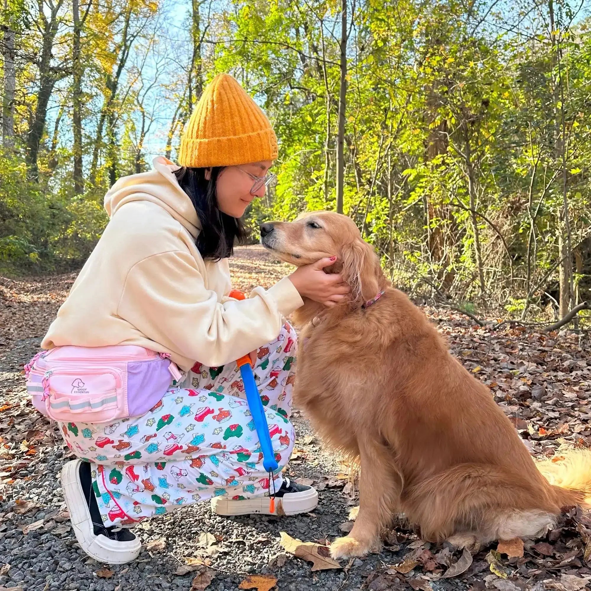 Walk'n Wag Hip Pack WOOFESSENTIAL