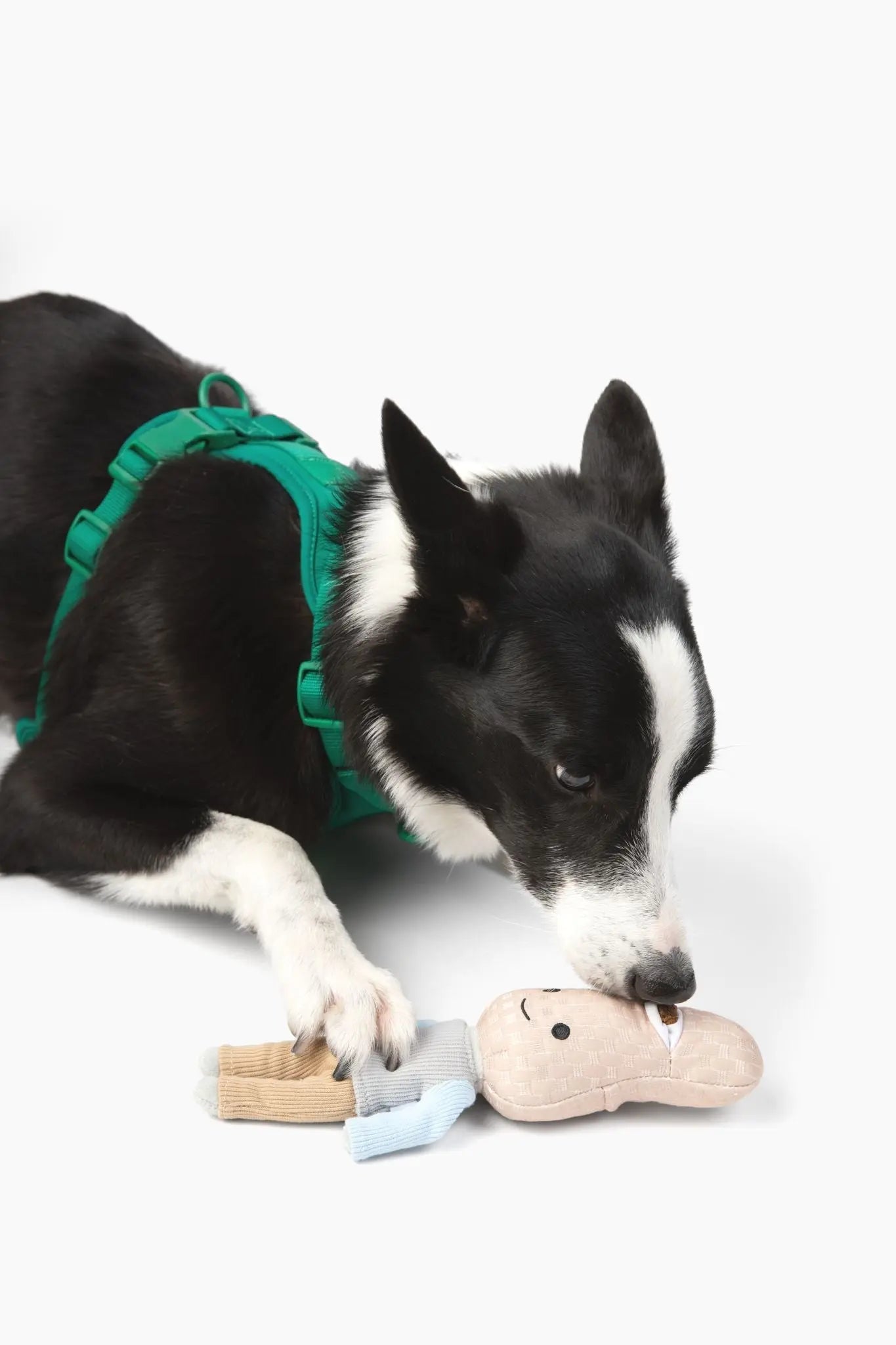 Peanut Nose Work Dog Toy - K9 Outdoors