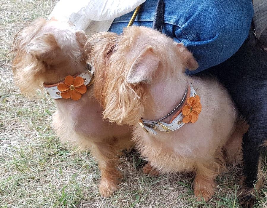 Bestia Flower Leather Puppy Collar