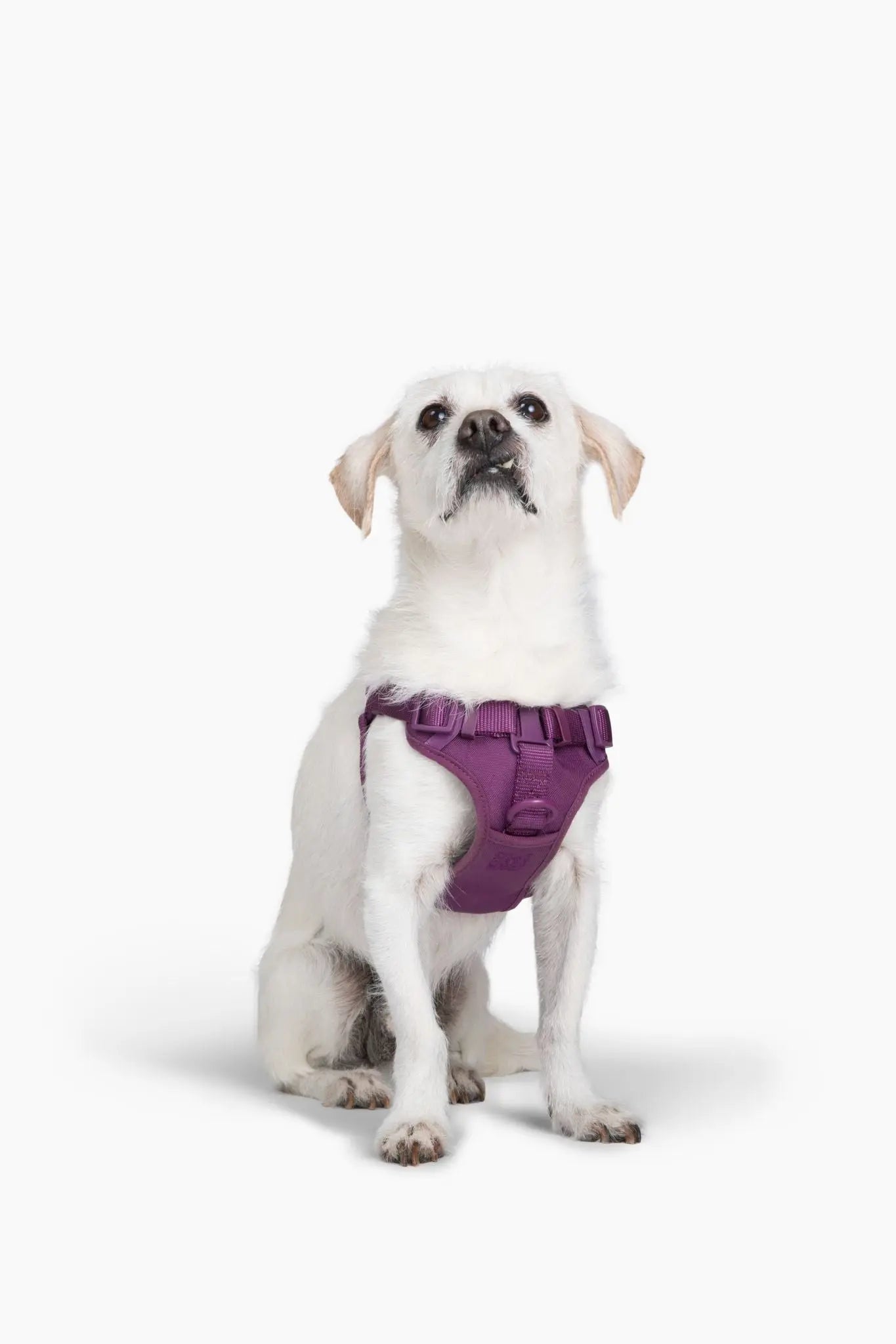 Step In Dog Harness - K9 Outdoors
