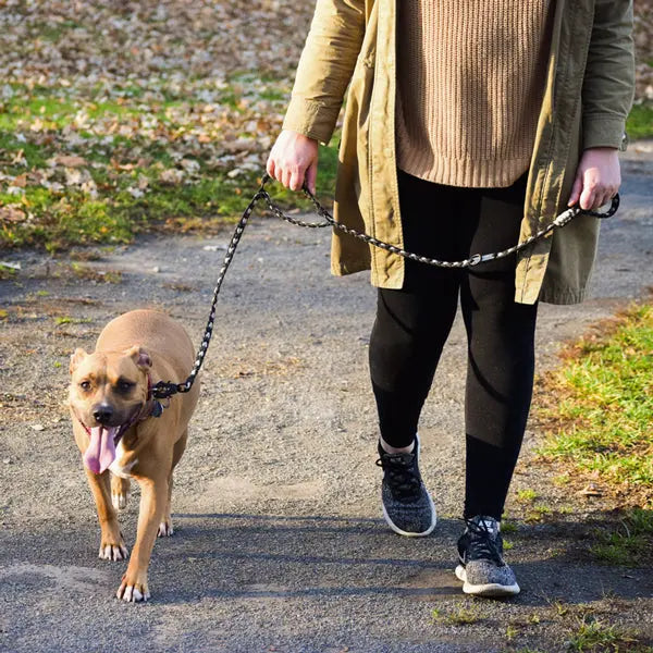 Forever Leash Carmella & Rose