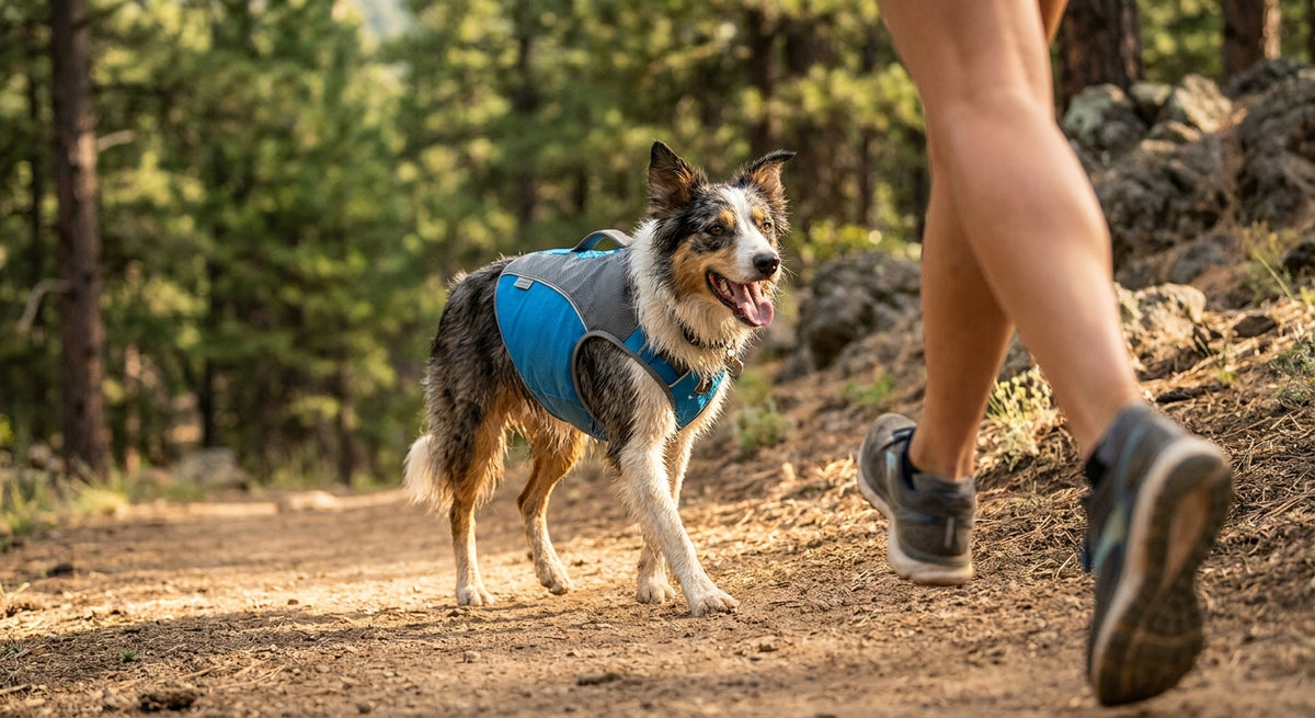 Dog Cooling Vest for Trail Running: What Works in 2026