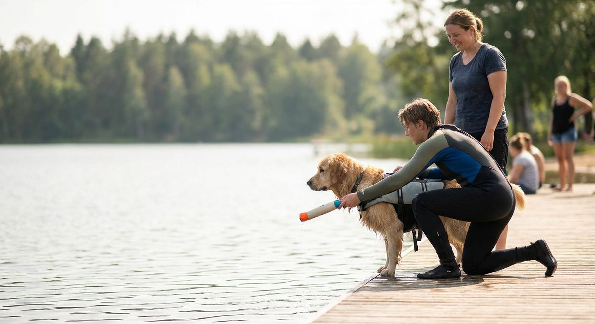 How to Introduce a Dog to Dock Diving Safely (2026)