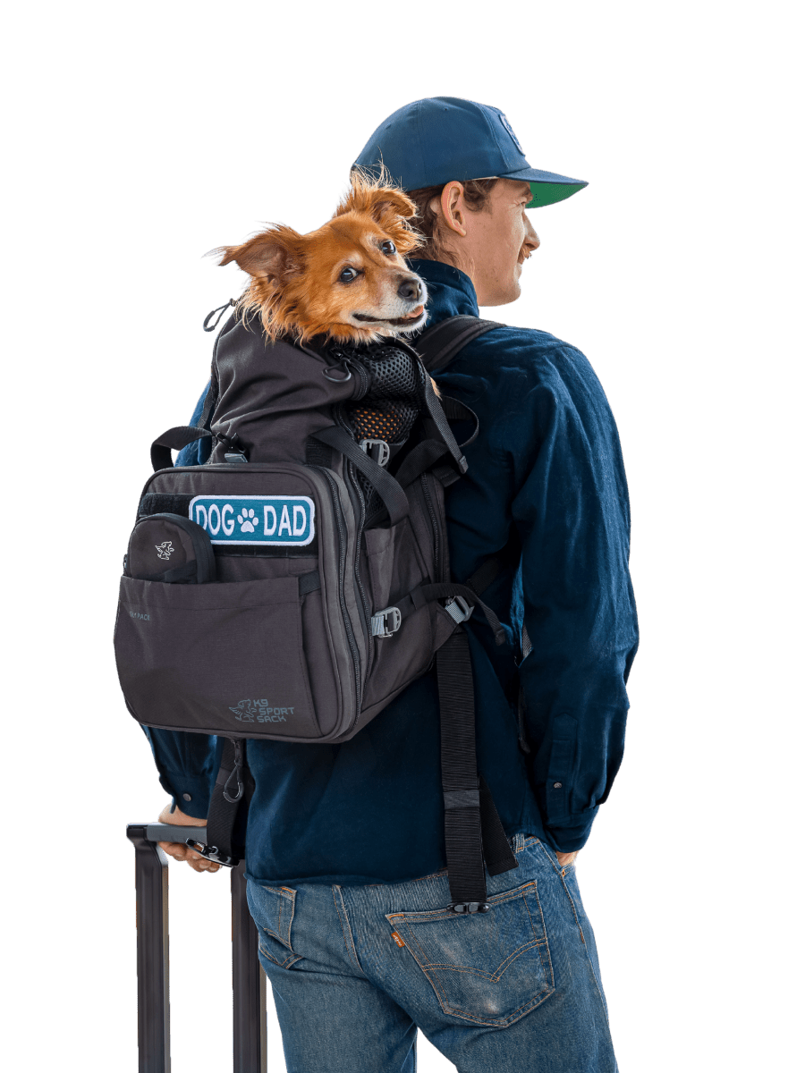 Best Dog Carrier Backpack for Air Travel (2026)