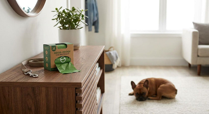 Odor-Proof Dog Waste Bags for Apartments (2026 Guide)