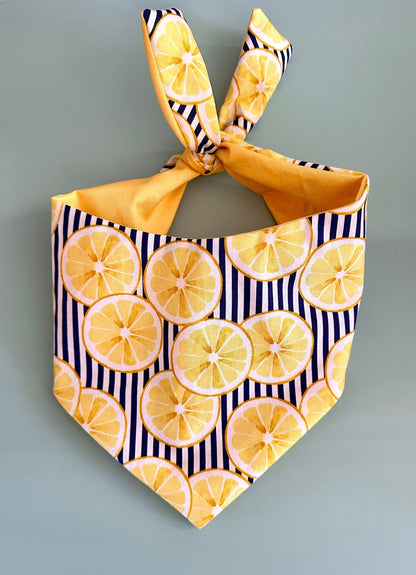 Lemon Dog Bandana Happy Tails Outfitters