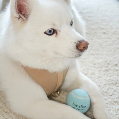 So Fetch! Tennis Ball - Cloud Elise Galleria