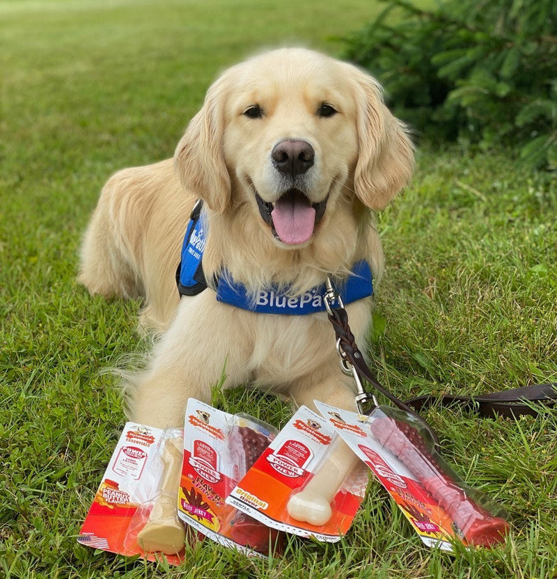 Nylabone Power Chew Dog Toy Original, 1ea/Large/Giant  Up To 50 Lbs. 1 ct