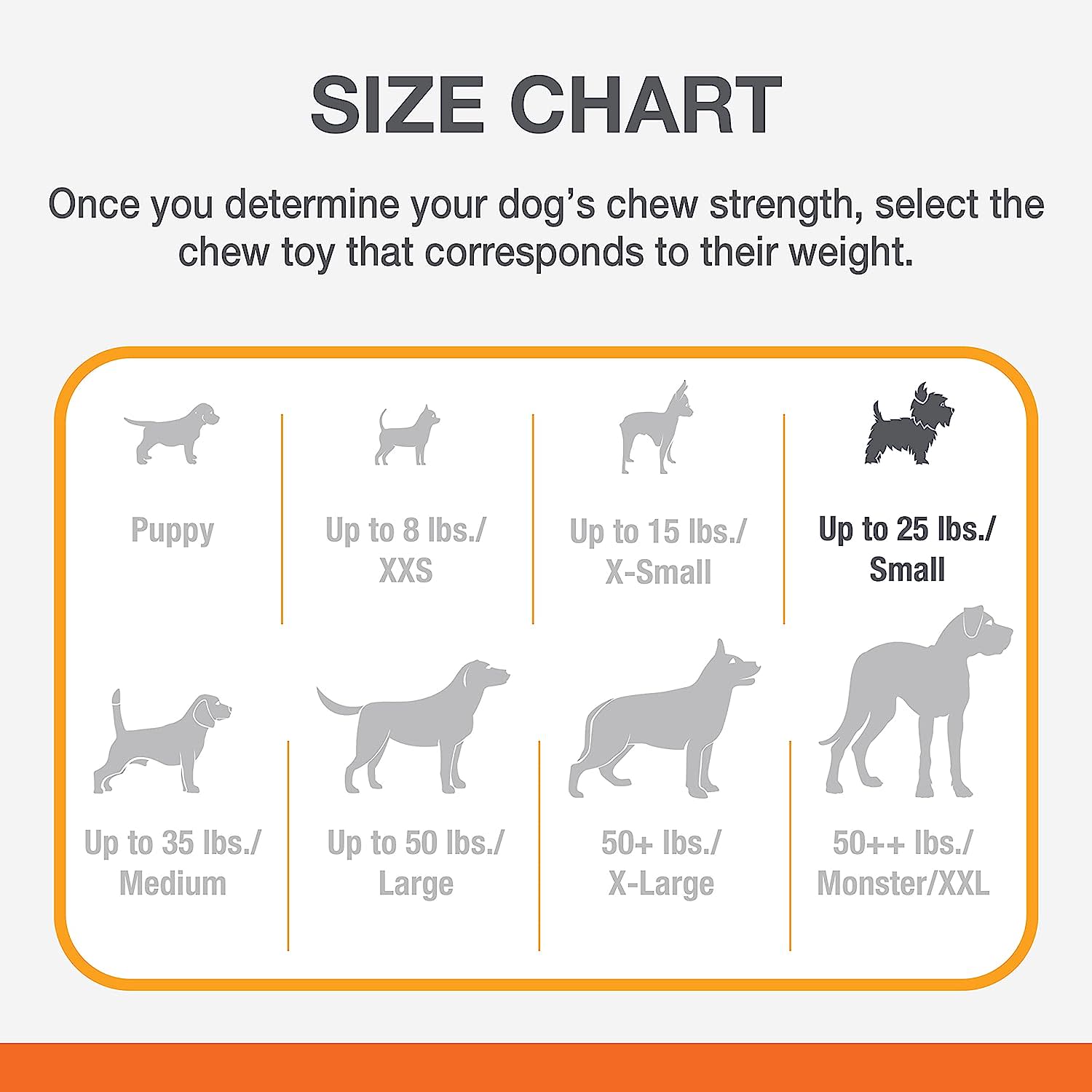 Nylabone Puppybone Blister Card Regular