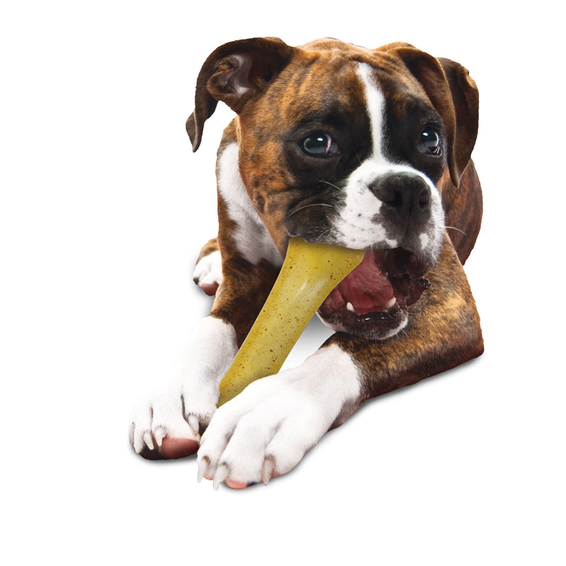 Nylabone Moderate Chew Chicken Chew Toy Chicken, 1ea/XL/Souper  50 Lbs. 1 ct