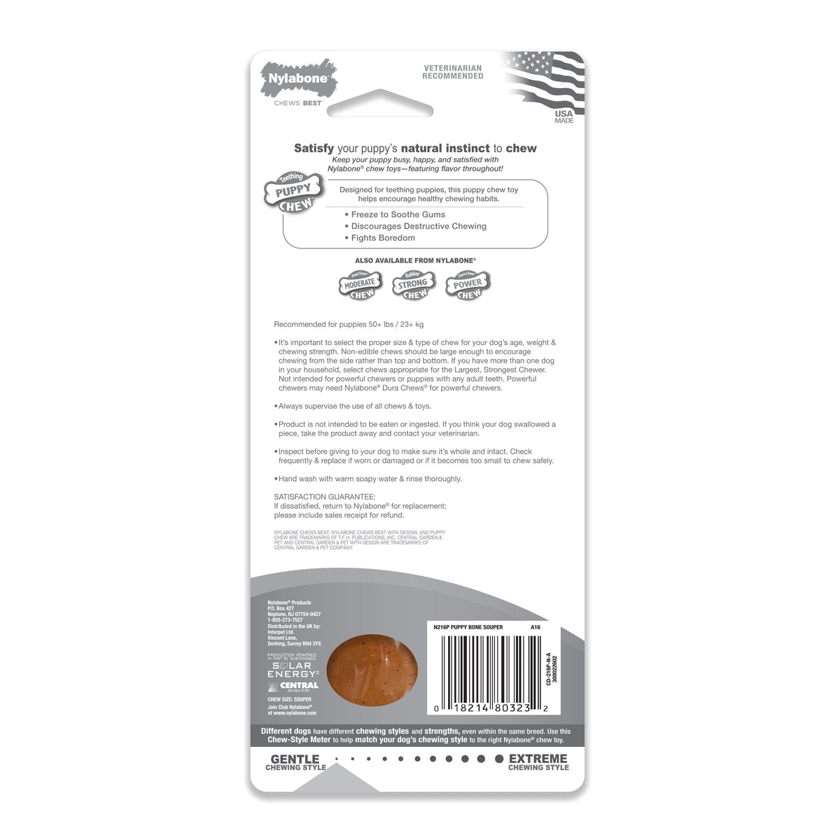 Nylabone Puppybone Blister Card Souper