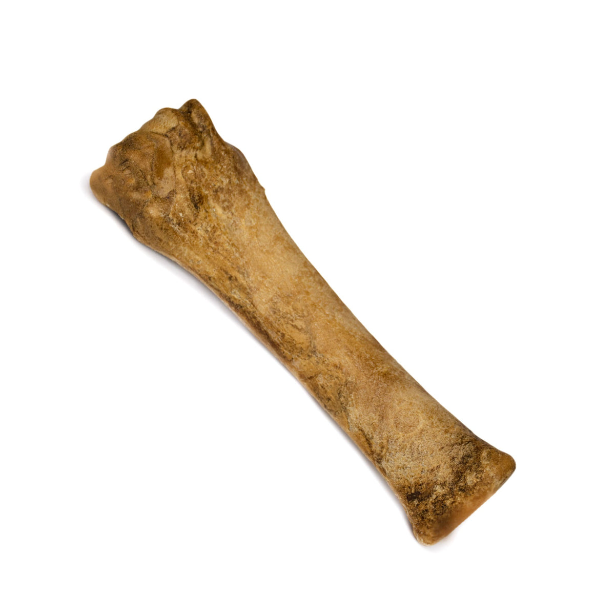 Nylabone Holiday Healthy Edibles Bacon Dog Treat