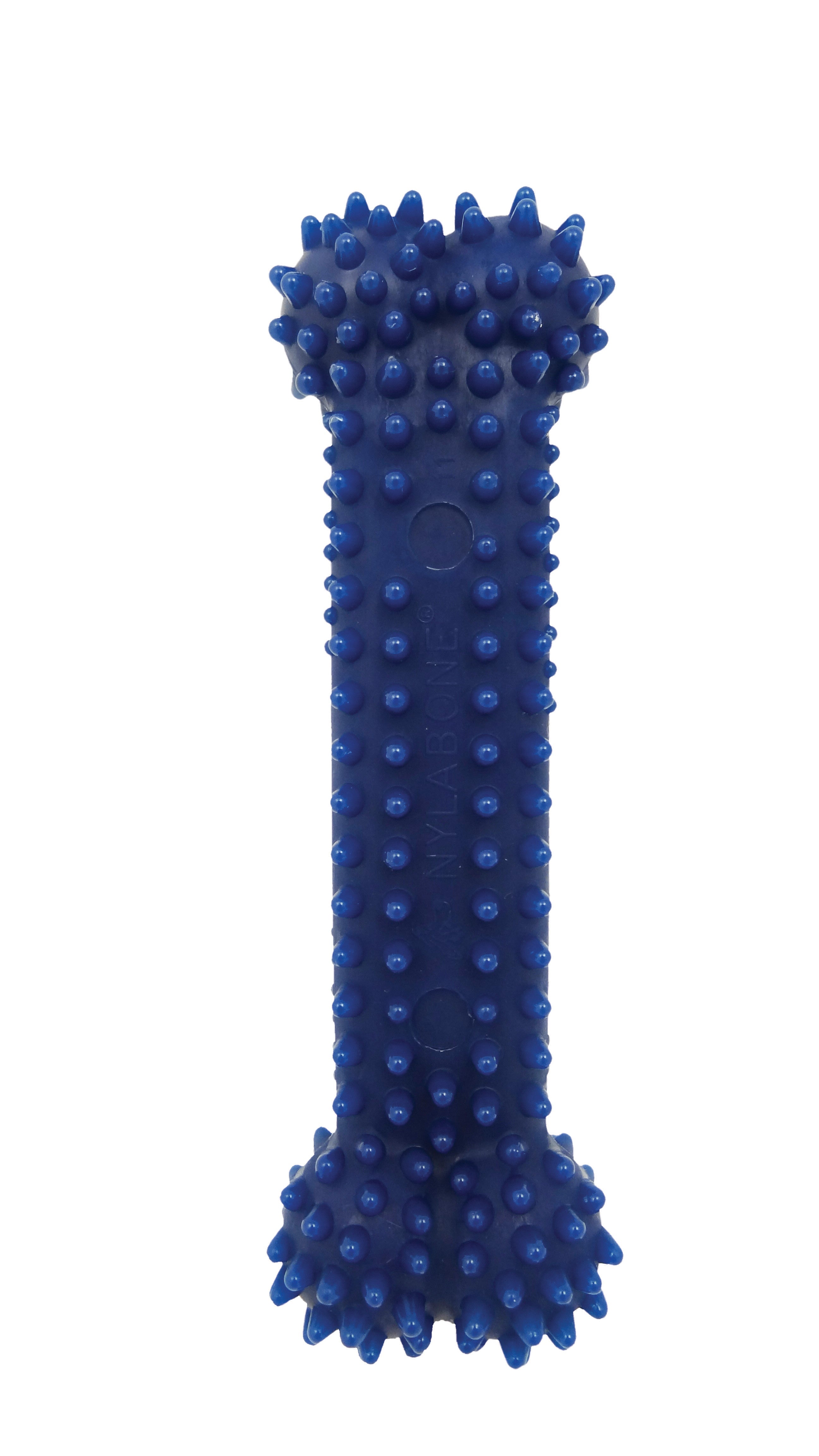 Nylabone DentalChew Blister Card Petite