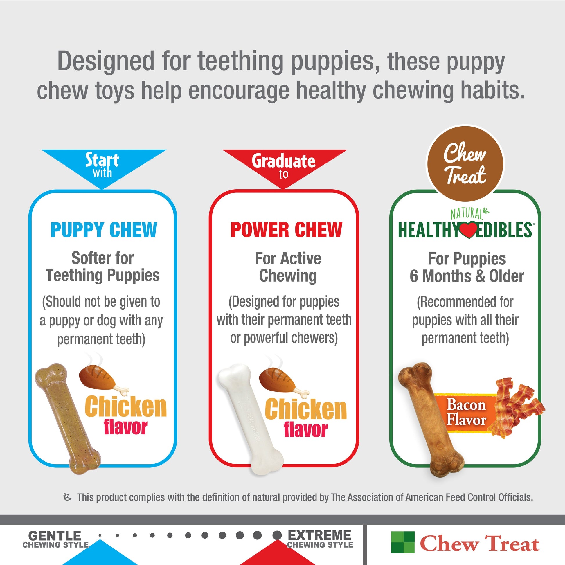 Nylabone Puppy Starter Kit Dog Chew Toys  Treat Chicken  Bacon, 1ea/SMall/Regular  Up To 25 Ibs. 3 ct