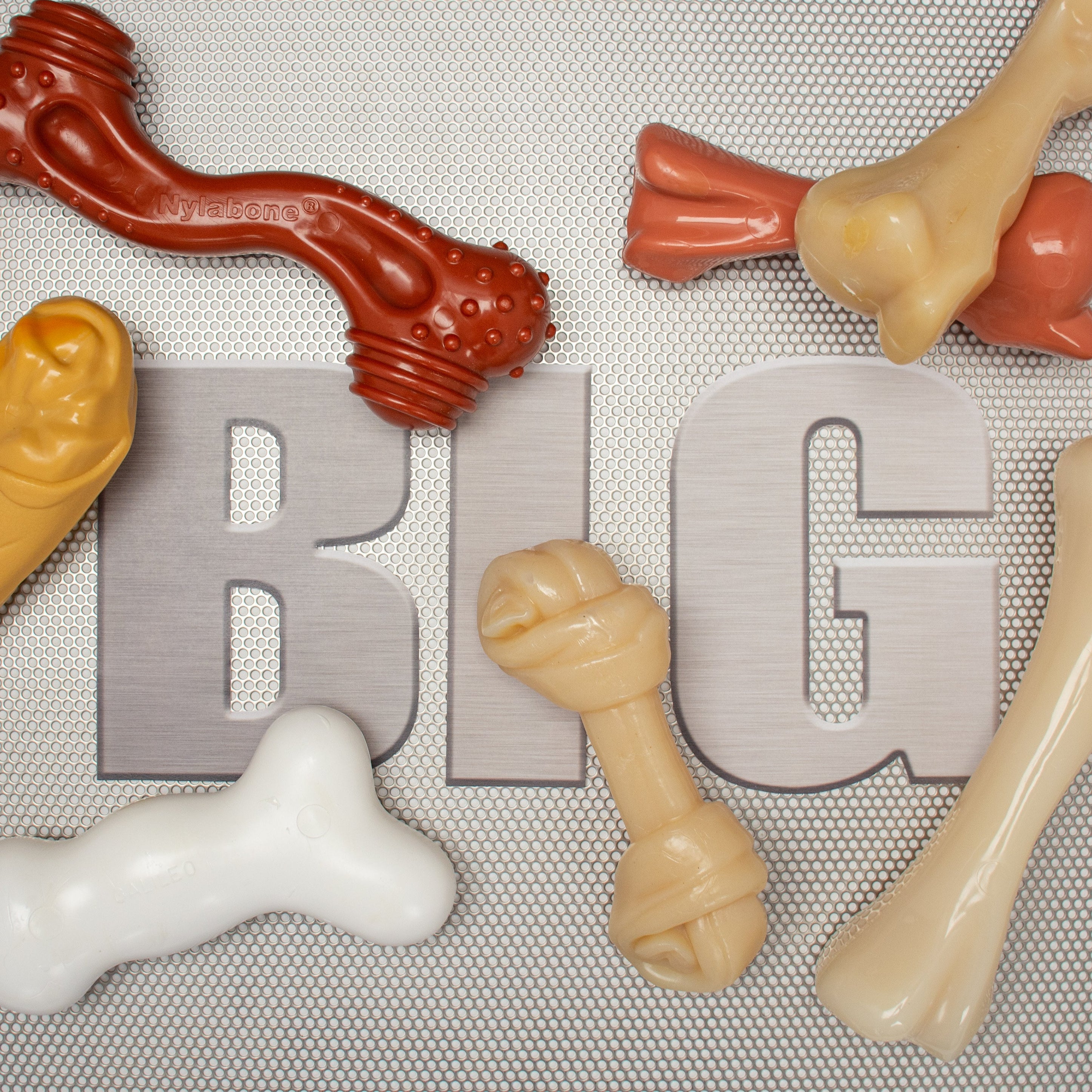 Nylabone Power Chew Femur Bone BIG Dog Chew Toy Chicken, 1ea/XXL/Monster  50 Lbs. 1 ct