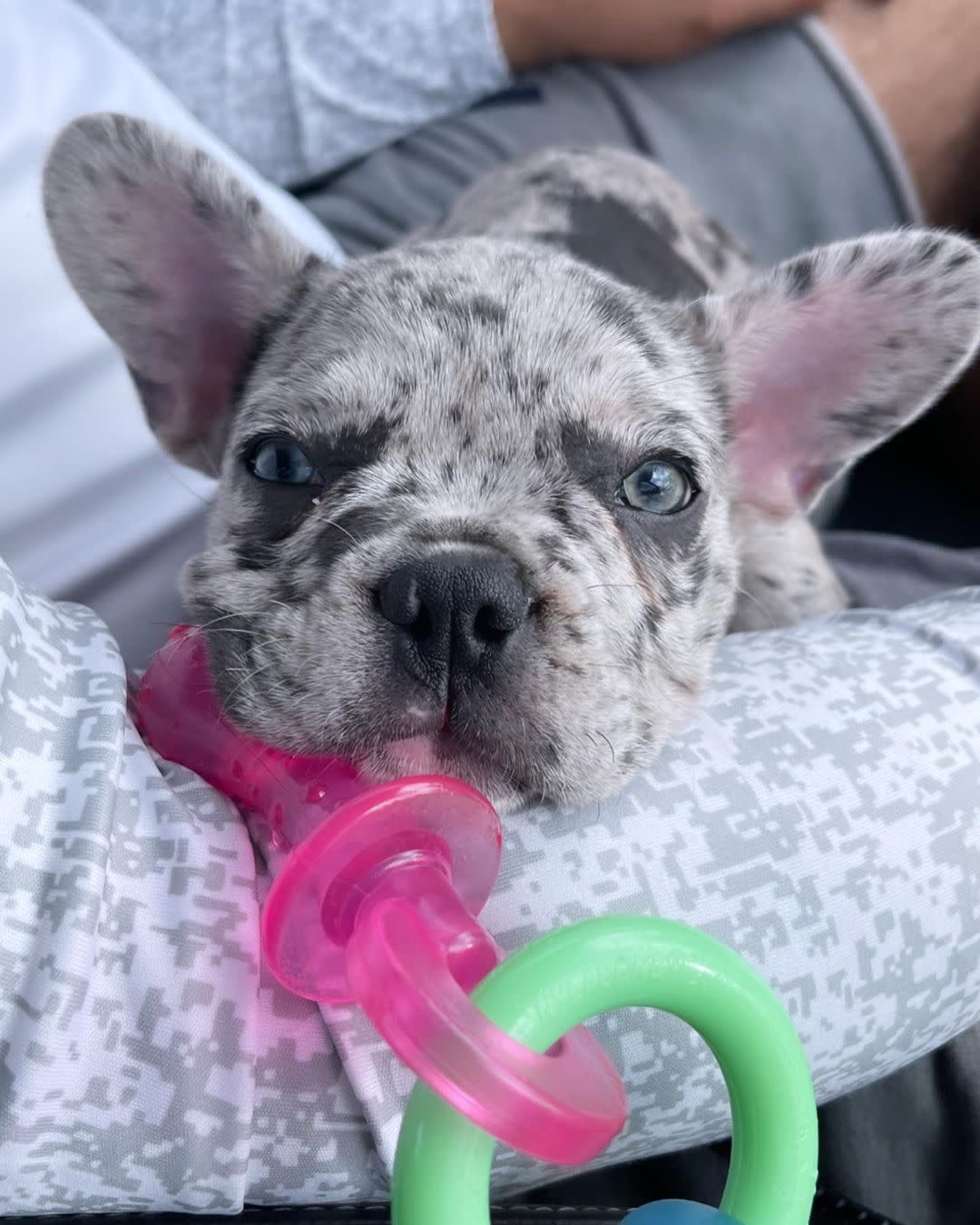 Nylabone Puppy Teething Pacifier Extra Small