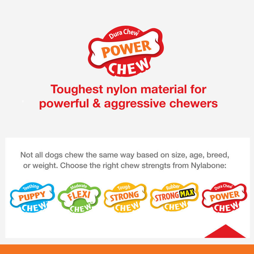 Nylabone DuraChew Action Ridges Bacon Souper