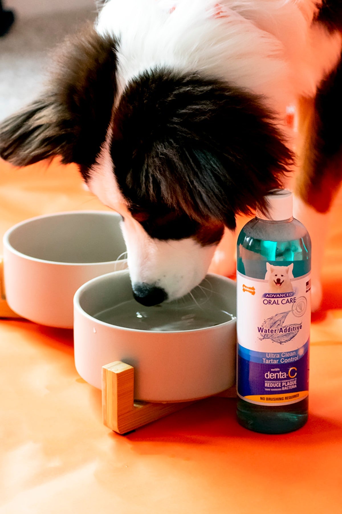 Nylabone Advanced Oral Care Liquid Tartar Remover 16oz