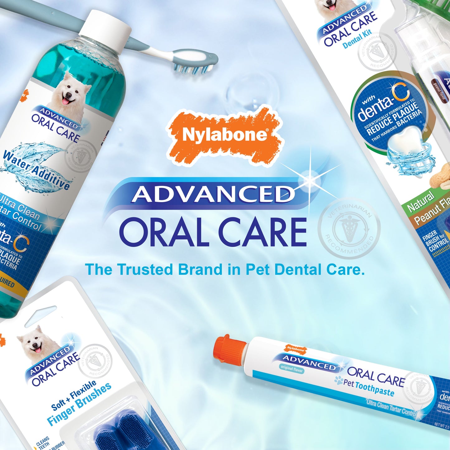 Nylabone Advanced Oral Care Water Additive for Dogs Original, 1ea/16 oz 1 ct