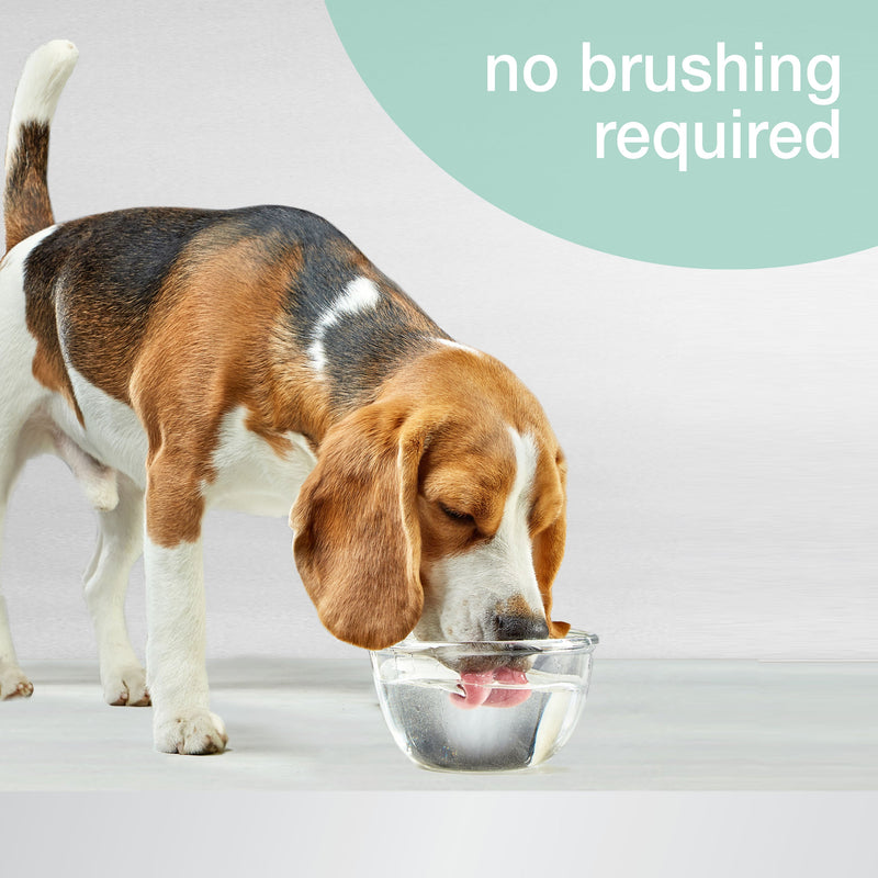 Nylabone Advanced Oral Care Liquid Breath Freshener 16oz