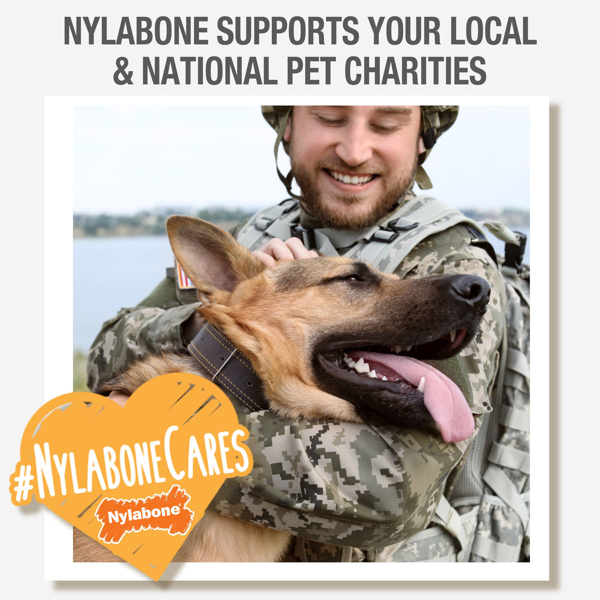 Nylabone Puppy Twin Pack Wolf